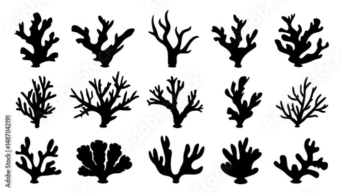 Seaweed silhouettes, coral black icon. Abstract organic shape, underwater plant, matisse element, cute sea doodle.