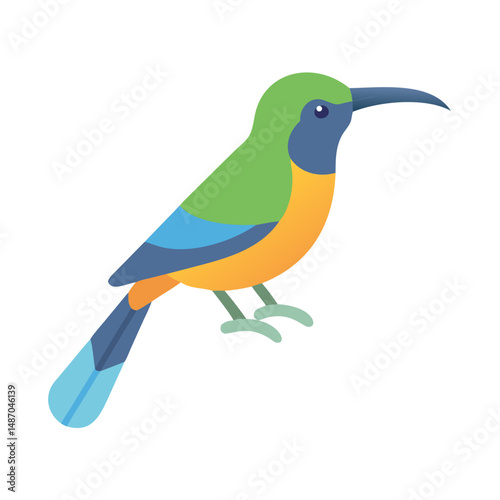 Colorful stylized sunbird illustration against a simple black backdrop
