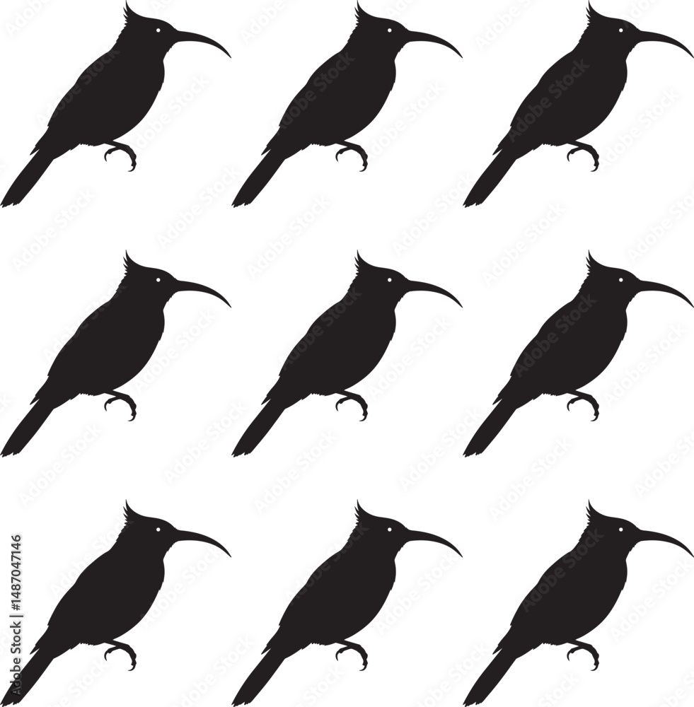 Obraz premium Vector illustration set of silhouettes of Azure Dollar birds. 