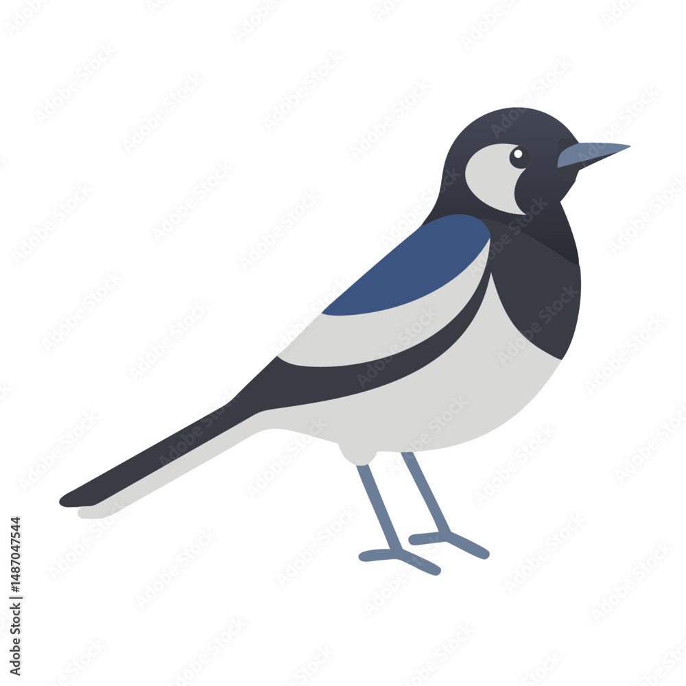 Fototapeta premium Stylized magpie bird in flat design against dark background