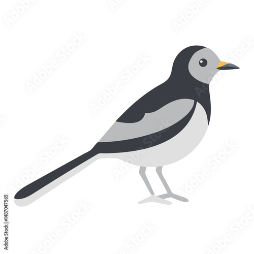 Schilderij op canvas Flat vector illustration of a wagtail on a black background