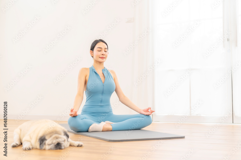 Fototapeta premium Asian woman in sportswear practicing yoga exercise and meditation yoga class. Healthy woman enjoy wellness sport training workout stretching body relaxation on yoga mat near Pug dog breed at home.