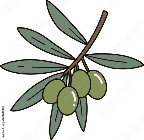 Olive branch with green olives vector illustration for natural food and Mediterranean cuisine design 