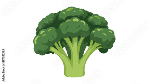Fresh Broccoli Vector Illustration – Green Broccoli Floret in Flat Style for Vegan, Organic Food, Healthy Eating and Grocery Design Themes