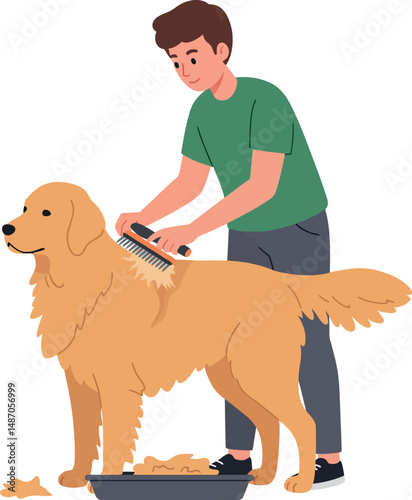 Man brushing golden retriever dog with grooming brush vector illustration 