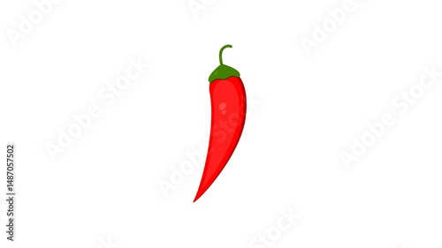 red chili on white background. spicy food. simple animation. motion graphics 