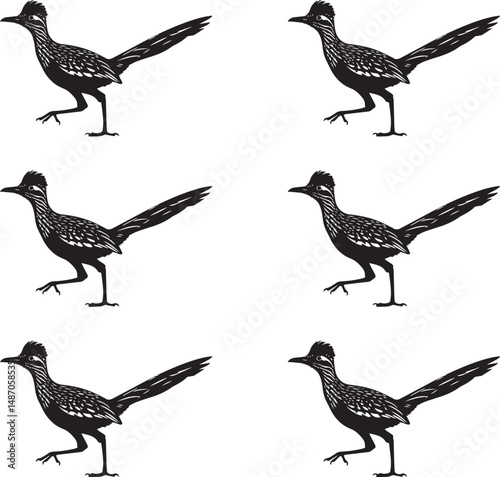 Vector illustration set of silhouettes of Roadrunner birds. 