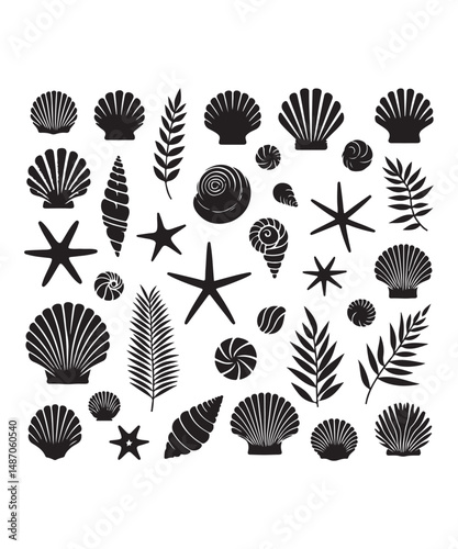 Sea shells starfish silhouette vector illustration, Starfish icon collection. 