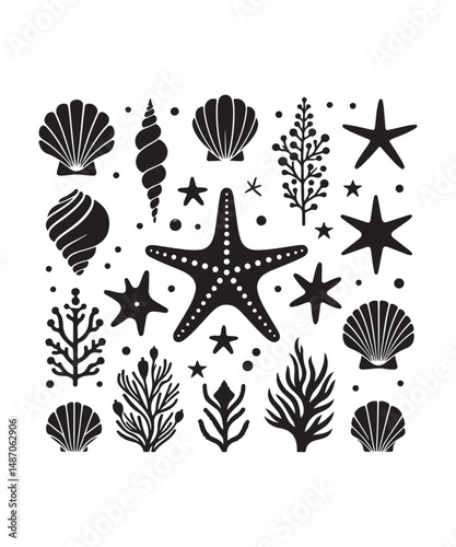 Sea shells starfish silhouette vector illustration, Starfish icon collection. 