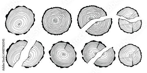 Logs of firewood, wood texture, tree rings pattern, vector design, isolated on white background