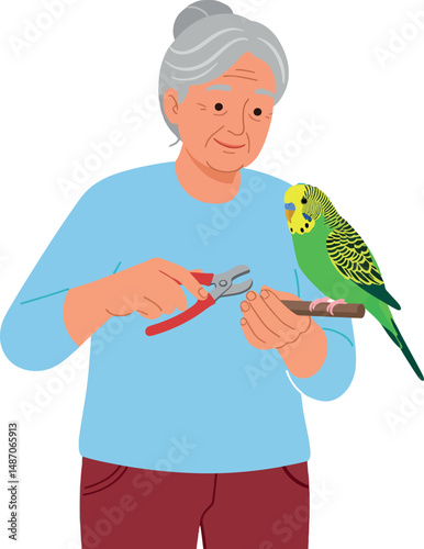 Elderly woman trimming parakeet nails with red clippers in simple vector illustration