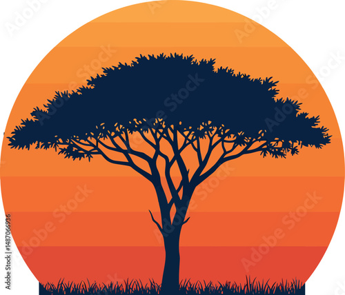 Acacia tree silhouette against orange gradient sunset background vector illustration 