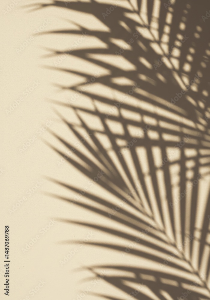 Fototapeta premium Palm Leaf Shadow on Beige Wall