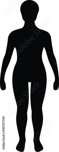 Silhouette of a female human body standing upright with arms slightly bent, neutral pose, black vector design isolated on white background, anatomy outline, full-body shape.