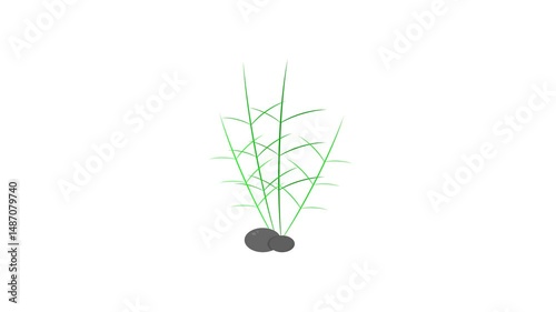 grass behind the stone on white background. nature theme. simple animation. motion graphics