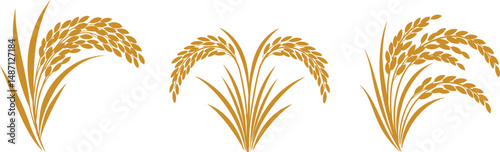 Golden Rice Plants Agriculture, Harvest, and Nature's Bounty