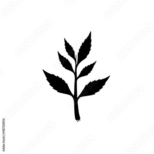 Elegant botanical simplicity: A minimalist black silhouette of a leafy sprig