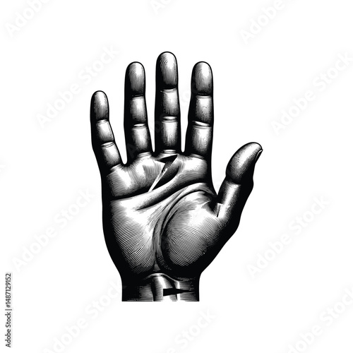 Detailed Black and White Engraving of Human Hand Palm Up, drawn in an engraved, woodcut style with fine details sketch engraving vector illustration. Scratch board imitation. Black and white image. 