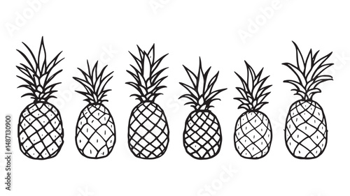 Pineapple line art illustration showing tropical fruit in simple style