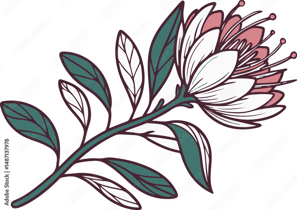 Detailed illustration of fuchsia flowers with buds and leaves
Detailed illustration of fuchsia flowers with buds and leaves