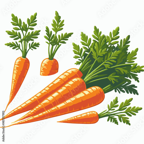 fresh carrots with leaves