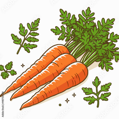 vector illustration of carrots