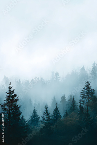 Misty Pine Forest in Cool Tones