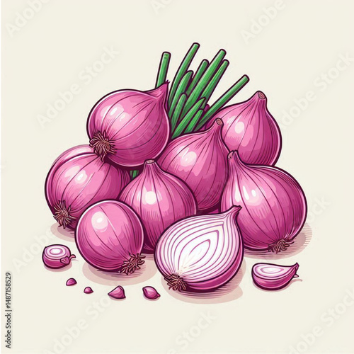 red onion illustration 