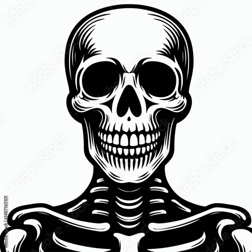 Skeleton wearing a creepy smile. Halloween Skull Bones Anatomy Skeletal Clipart Line Art Vector Illustration. Bony figure flaunting sinister grin frightening image for the macabre theme.