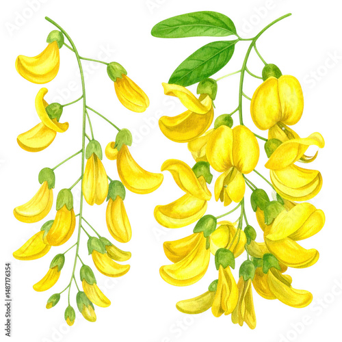 Vibrant Yellow Floral Illustration of Beautiful Blossoming Flowers with Green Leaves Ideal for Nature and Botanical Themes