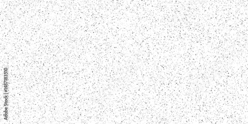 	
Vector noise particle white wall texture Terrazzo marble grey texture background. old grunge white and black surface gravel stone terrazzo floor texture. Rock spatter stone marble wall texture.