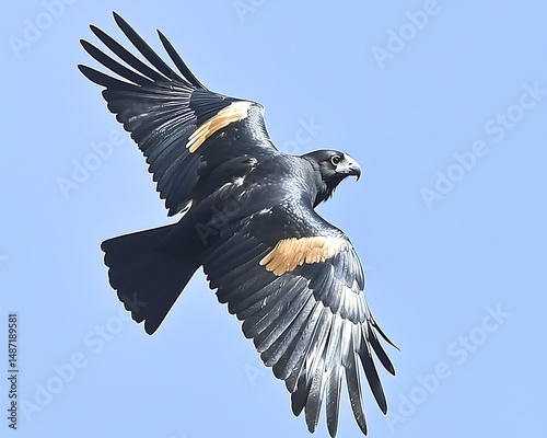 A single bird flying high against a brilliant, cloudless blue sky, its silhouette stark against the bright daylight, capturing the essence of solitude and freedom.