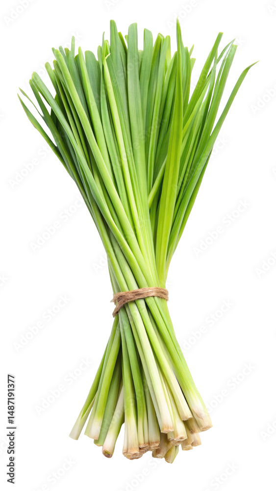 Fototapeta premium Fresh Green Lemongrass Leaves with Long Thin Blades isolated on transparent white background, clipping path