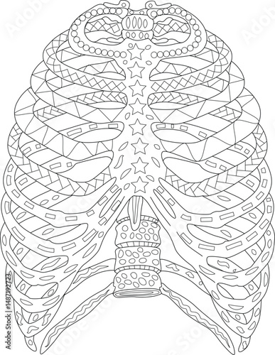 Abstract Rib Cage Line Art for Coloring Book, Detailed line art illustration of a human rib cage filled with abstract patterns. Perfect for coloring books, educational materials, medical 