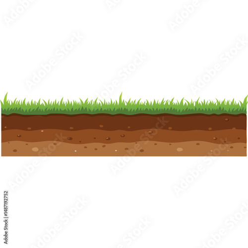Cross Section of Soil Layers with Green Grass