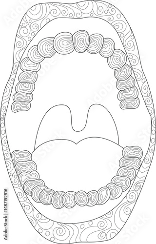 Human Mouth Anatomy Line Art - Teeth and Oral Cavity, Detailed black and white line drawing illustration of the human mouth showing teeth, gums, and tongue inside the oral cavity. Features 