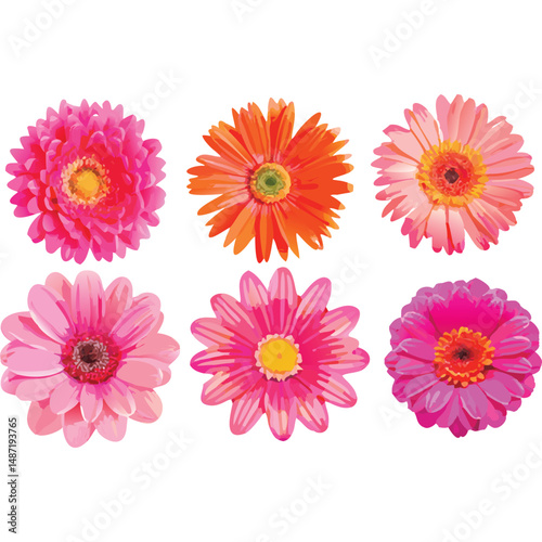 Six Vibrant Gerbera Daisies in Pink and Orange Hues