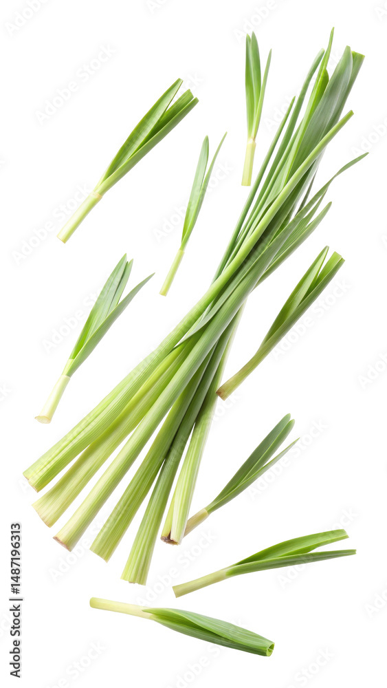 Obraz premium Flying Fresh Green Lemongrass Leaves in Motion isolated on transparent white background, clipping path
