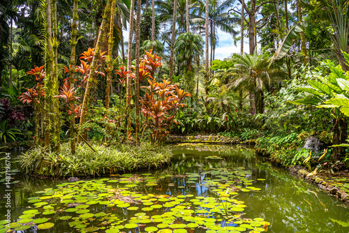View of the pond at Hawaii Tropical Botanical Garden, Big Island Hawaii