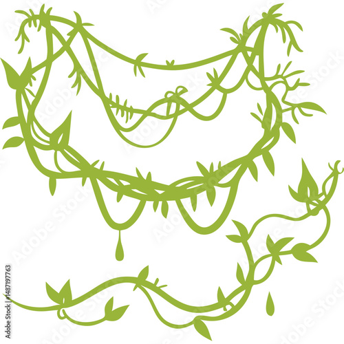 Jungle Vines and Lianas Vector Tropical Rainforest Illustration