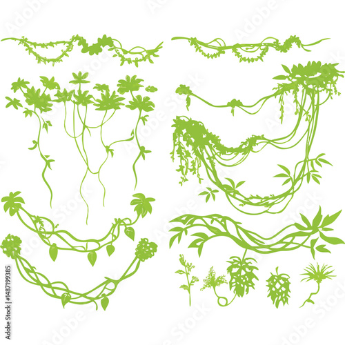 Tropical Jungle Vine Vector Set Green Botanical Illustration