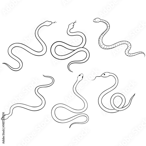 Six simple line drawings of snakes reptile wildlife