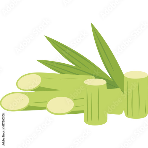 Sugarcane Vector Illustration Sugar Cane Harvest Tropical Plant