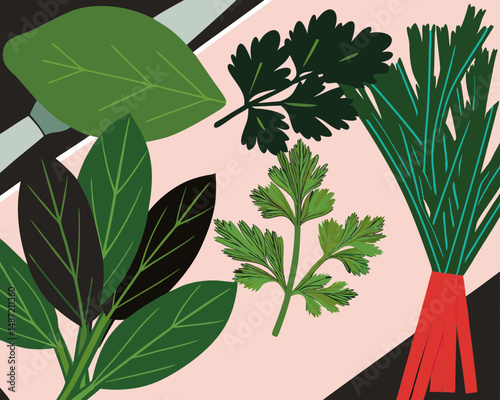 Fresh herbs arranged artistically on a colorful background  