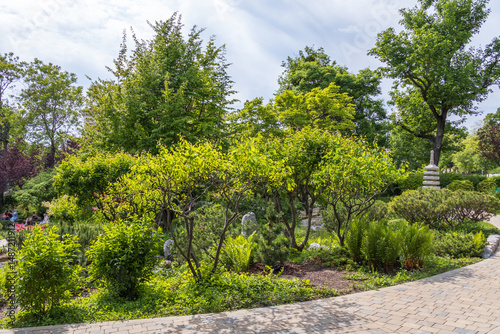 Fototapeta Naklejka Na Ścianę i Meble -   Curved walkway surrounded by trimmed bushes, trees, and a stone pagoda in the background in a Japanese-style park in Vienna, Austria.