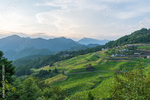 山間部に広がる緑の棚田風景