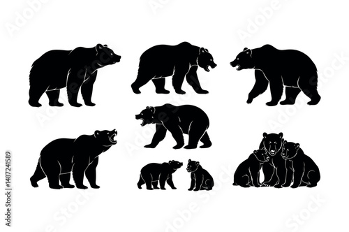 bear silhouette wild forest standing