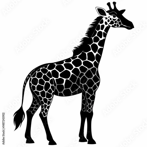 Giraffe black silhouette vector illustration on white background