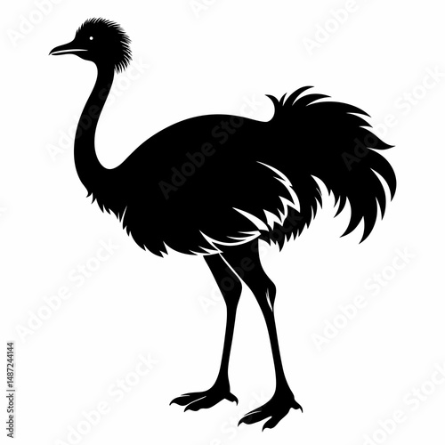 Ostrich black silhouette vector illustration on white background