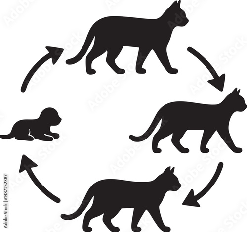 Cat Life Cycle Silhouette.